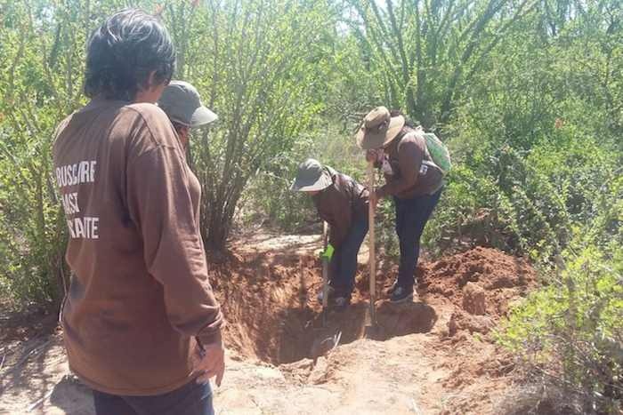 Descubren Fosas Clandestinas En Sinaloa - ContraRéplica - Noticias