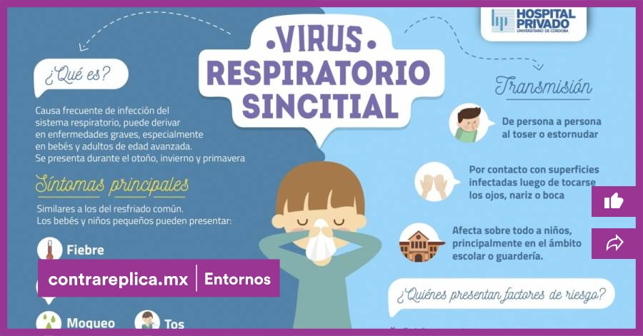 Así Es El Virus Respiratorio Sincitial Y Puede Desatar Estas ...