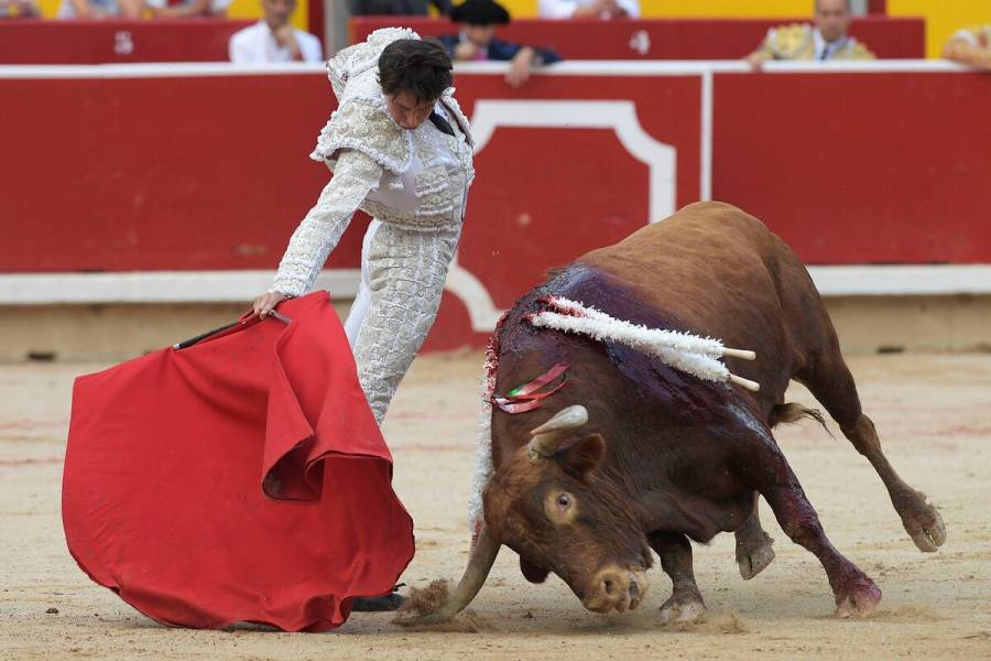 Cámara de Representantes agenda votación sobre prohibición de corridas de toros