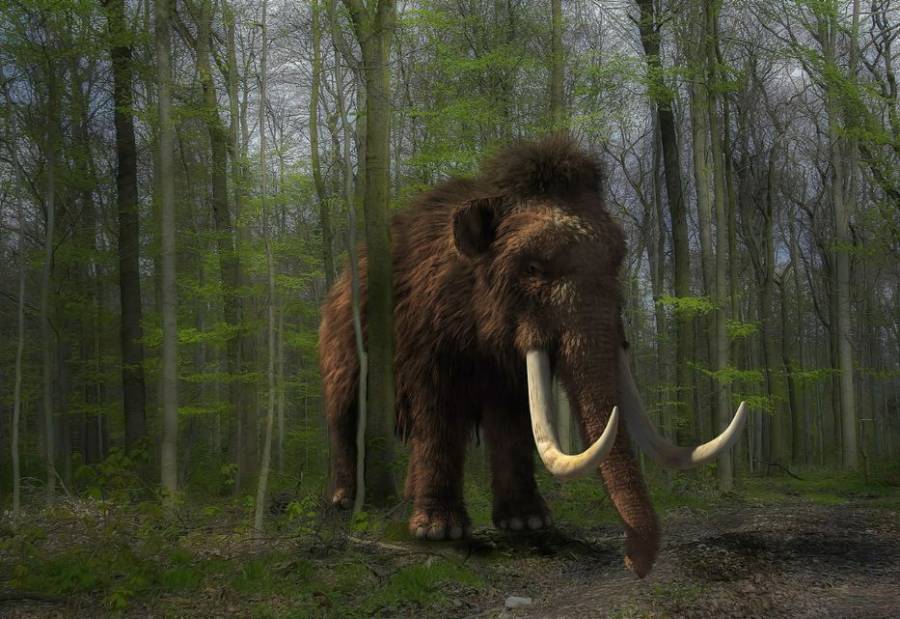 La IA revive moléculas de animales extintos, como el mamut, para desarrollar antibióticos