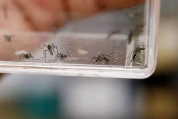 Realiza Secretaría de Salud campaña para prevenir el dengue en el Edomex
