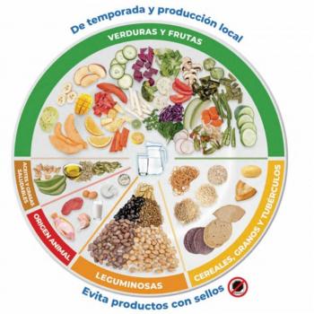 Guías alimentarias, herramienta para mejorar nutrición de la población mexicana