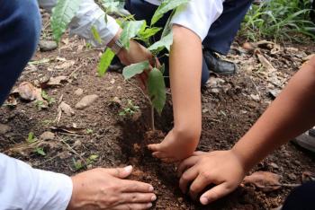 Gobierno de la Ciudad de México supera meta de reforestación al plantar más de 45 millones de árboles
