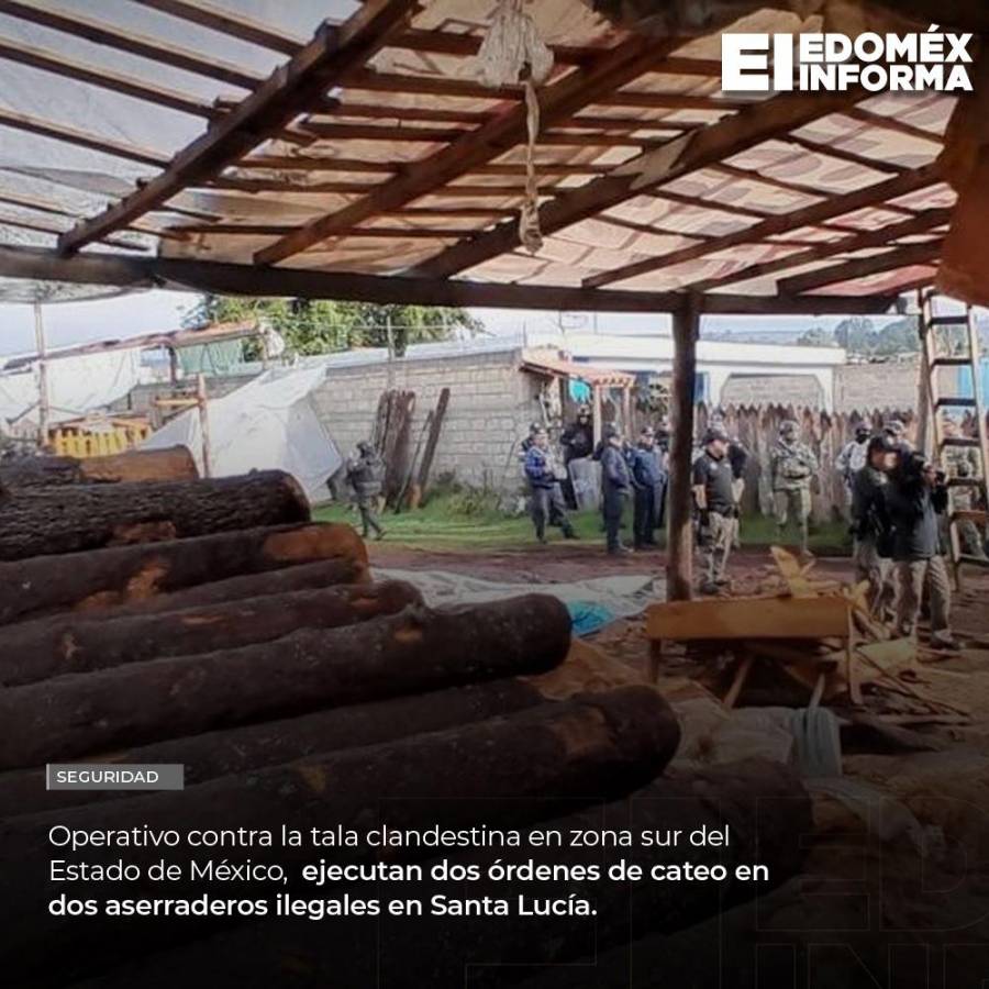 Instruye Delfina Gómez operativo contra la tala clandestina en zona sur del EdoMéx