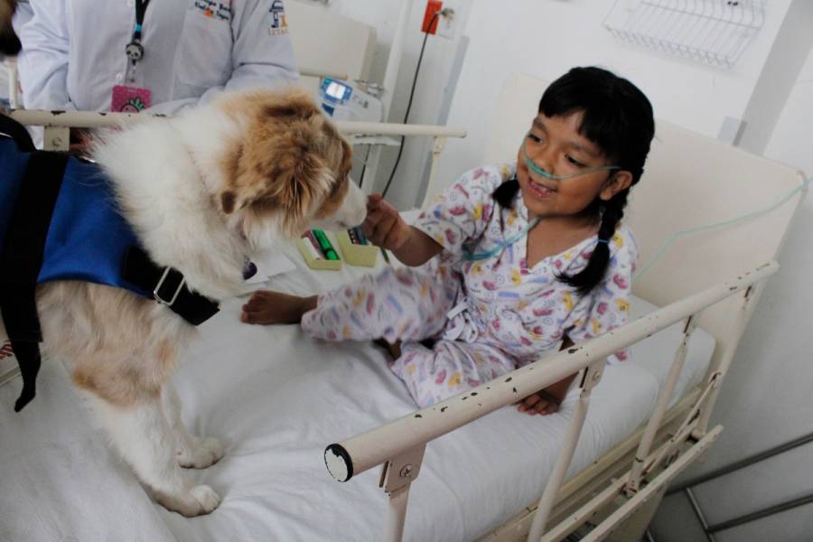 Brinda Hospital Pediátrico Coyoacán 36 mil terapias asistidas con perros