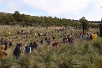 Arranca GEM la primera reforestación estatal: “Árboles para el Mañana”