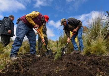 Inicia primera jornada de reforestación en Edomex